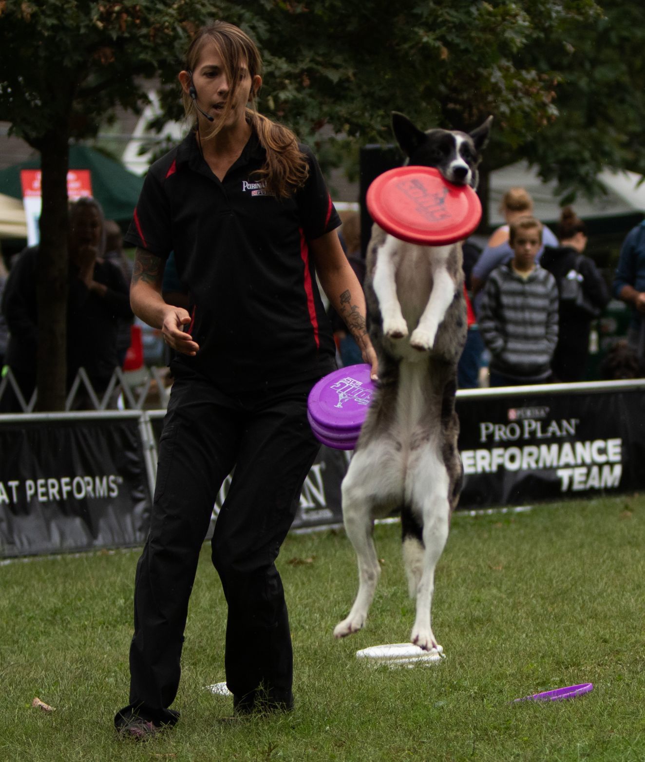 191006TSCanineCarnival92